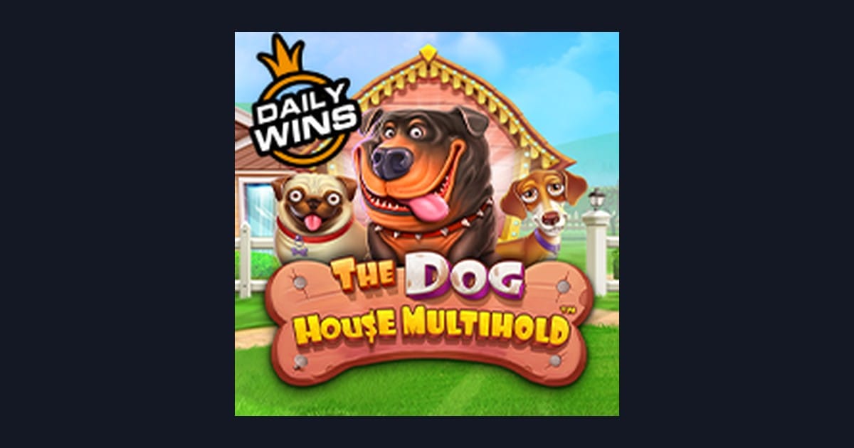 Strategi Pola Maxwin The Dog House Multihold untuk Pemula Slot